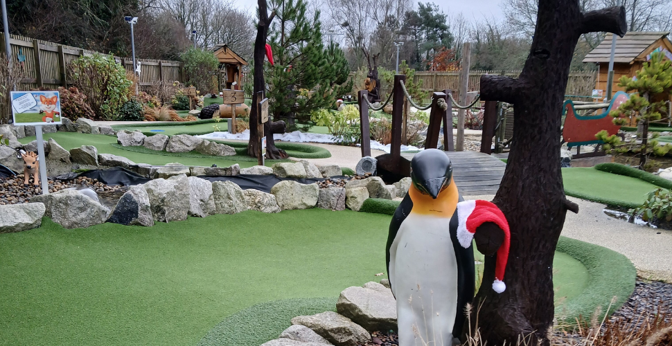 A photograph of the woodland golf course at Christmas at China Fleet.